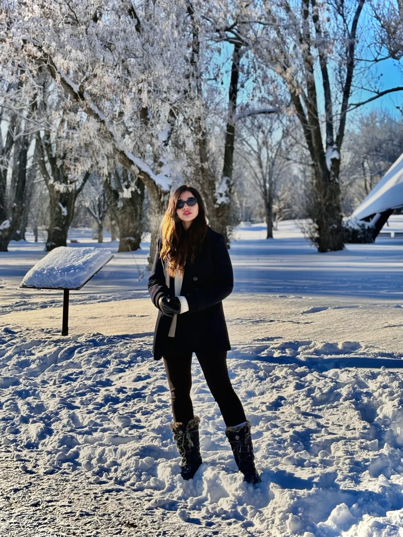 A personal photograph among snow-covered trees.